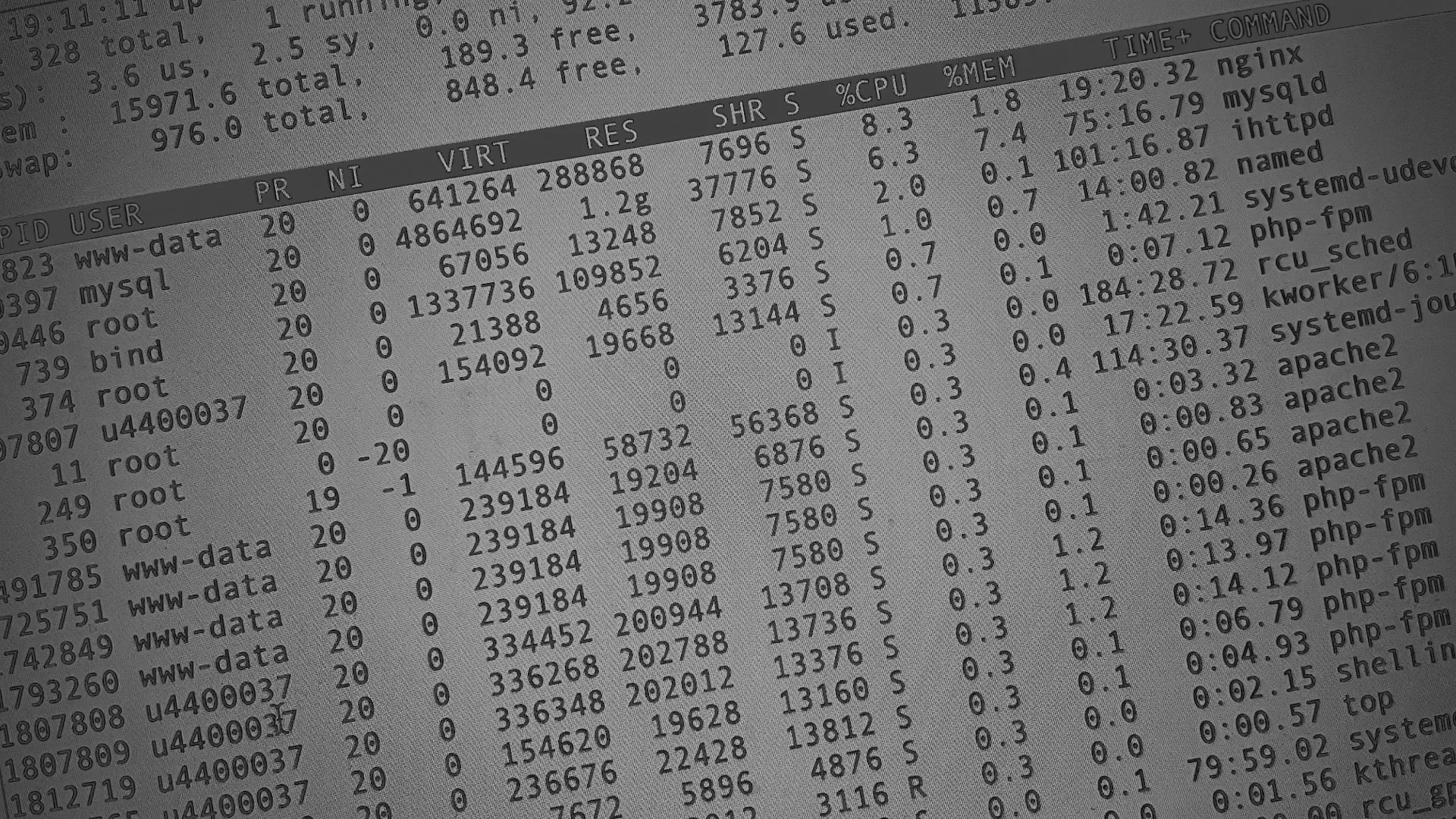 Настройка сервера в Никольском Настройка сервера в Никольском