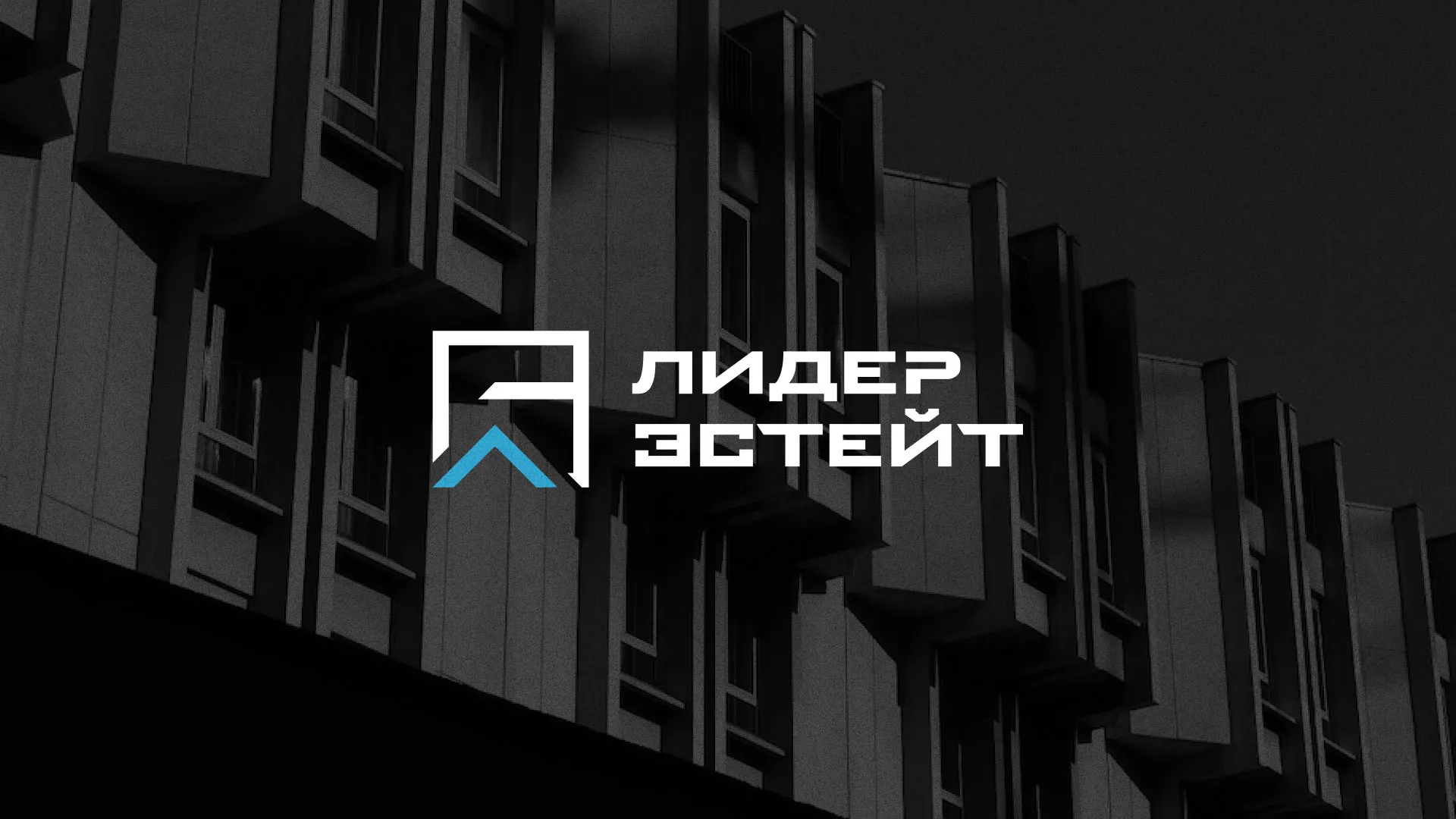 Разработка логотипа агентства недвижимости «Лидер Эстейт» в Никольском